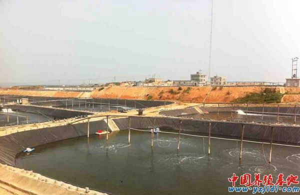 中國養殖基地 yzjidi.com