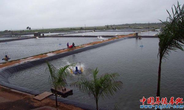 中國養殖基地 yzjidi.com