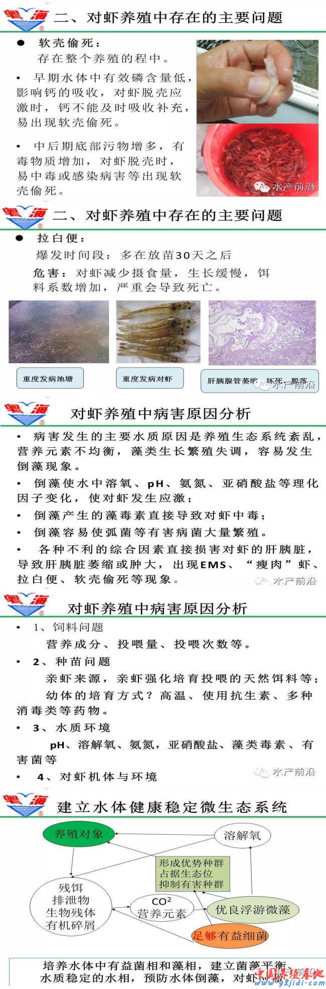 中國養殖基地 yzjidi.com