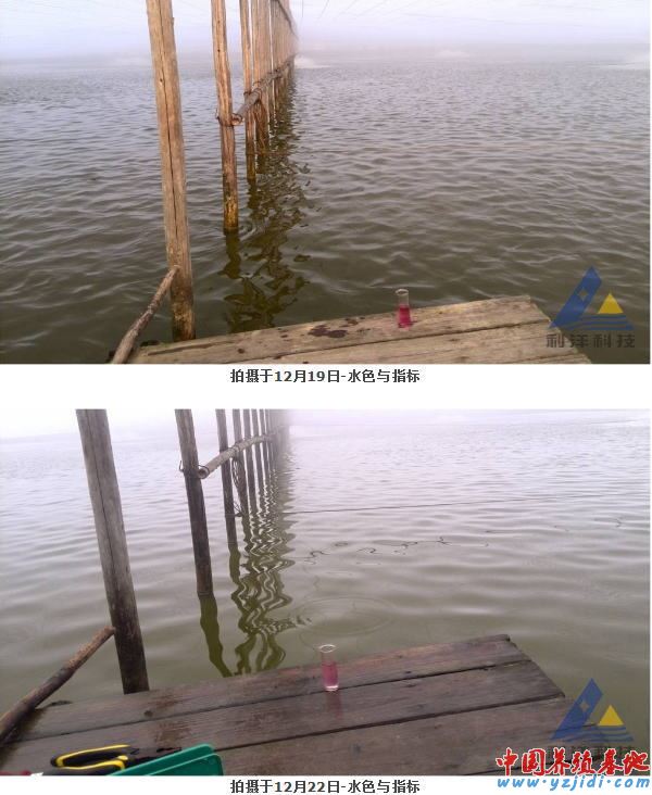 中國養殖基地 yzjidi.com