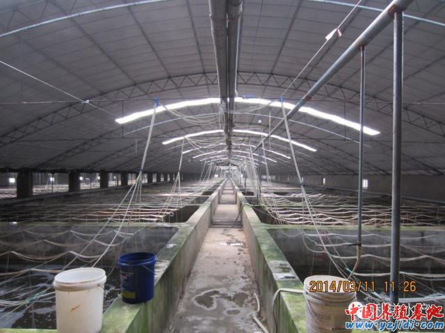 中國養殖基地 yzjidi.com