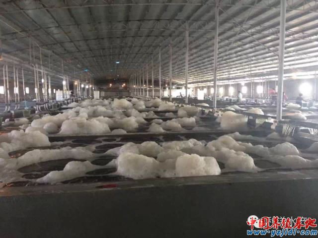 中國養殖基地 yzjidi.com