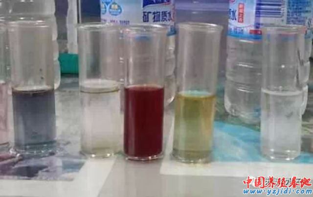 中國養殖基地 yzjidi.com