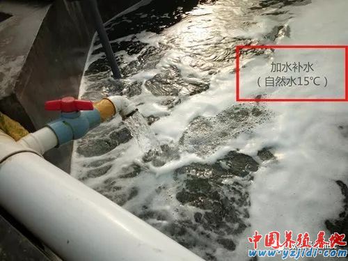 中國養殖基地 yzjidi.com