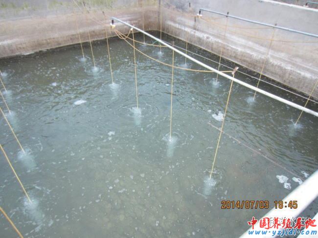 中國養殖基地 yzjidi.com