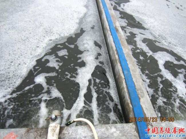 中國養殖基地 yzjidi.com