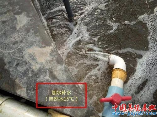 中國養殖基地 yzjidi.com