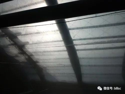 中國養殖基地 yzjidi.com