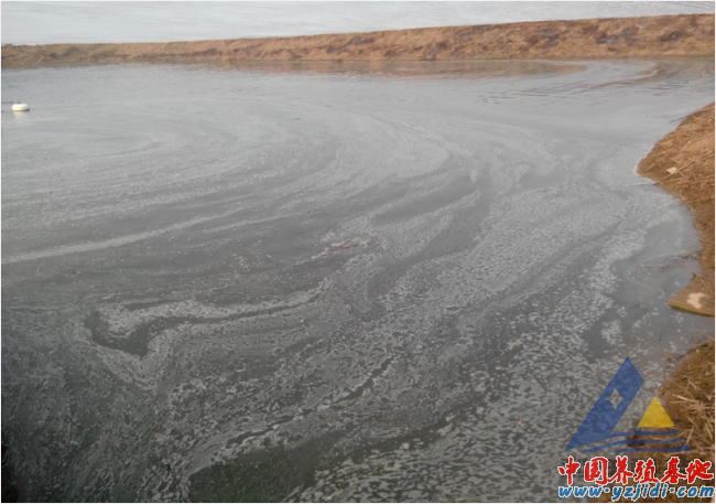 中國養殖基地 yzjidi.com