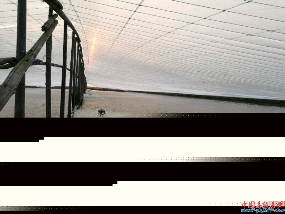 中國養殖基地 yzjidi.com