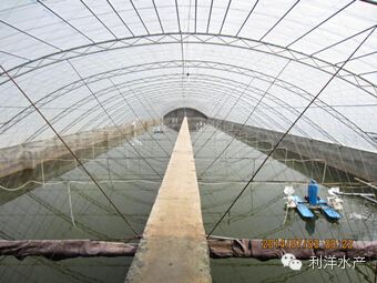 中國養殖基地 yzjidi.com