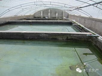 中國養殖基地 yzjidi.com