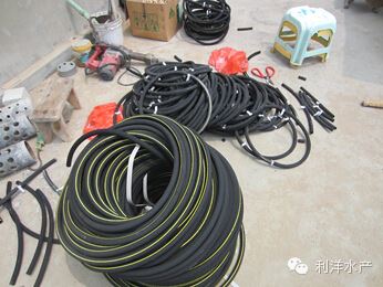 中國養殖基地 yzjidi.com