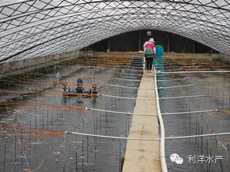 中國養殖基地 yzjidi.com