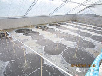 中國養殖基地 yzjidi.com