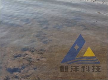 中國養殖基地 yzjidi.com