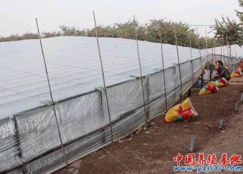 中國養殖基地 yzjidi.com
