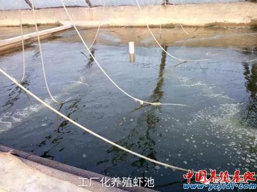 中國養殖基地 yzjidi.com