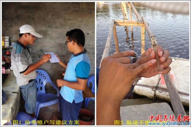 中國養殖基地 yzjidi.com