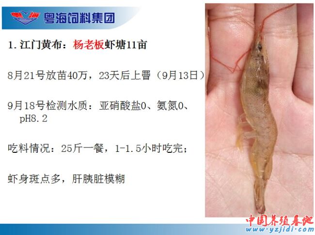 中國養殖基地 yzjidi.com