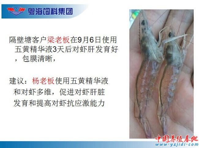 中國養殖基地 yzjidi.com