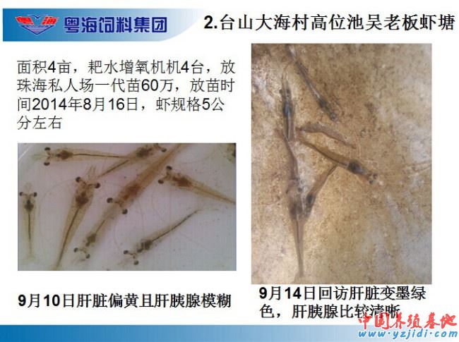 中國養殖基地 yzjidi.com