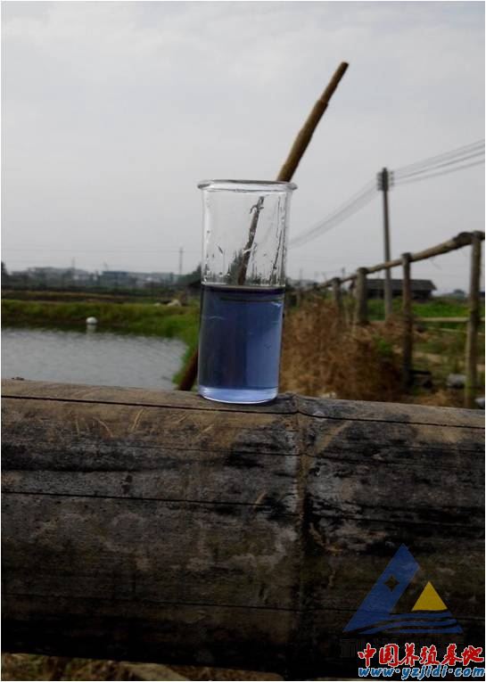 中國養殖基地 yzjidi.com