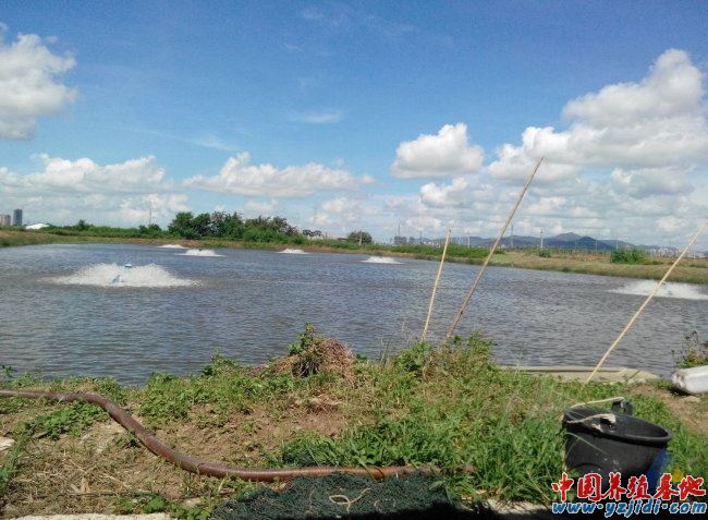 中國養殖基地 yzjidi.com