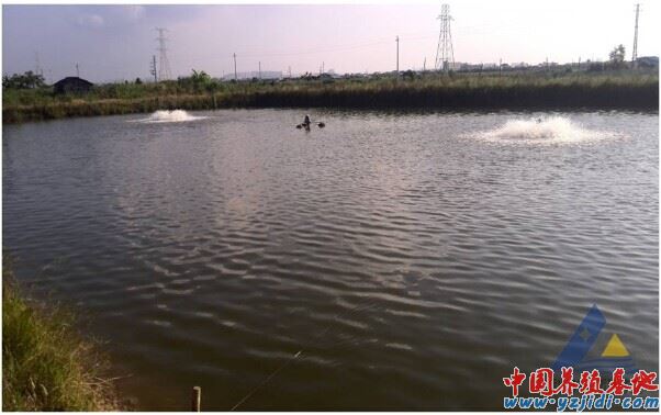中國養殖基地 yzjidi.com