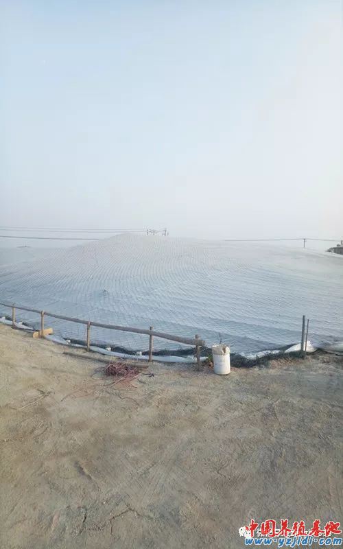 中國養殖基地 yzjidi.com