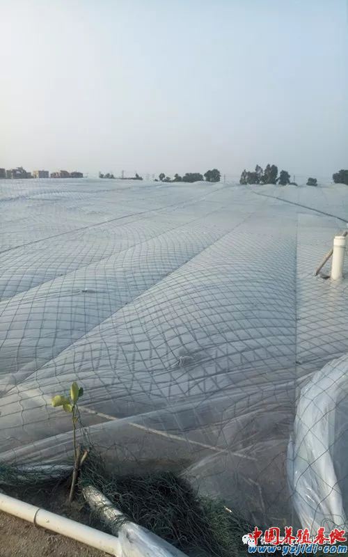 中國養殖基地 yzjidi.com