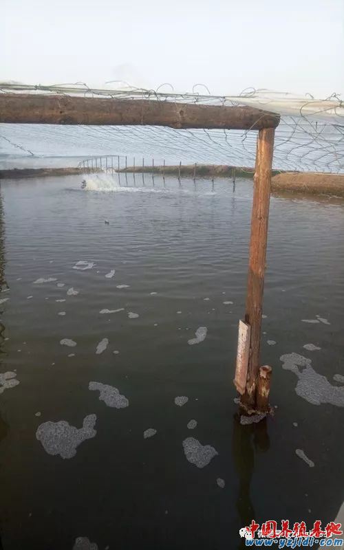 中國養殖基地 yzjidi.com