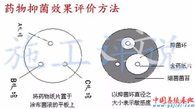 中國養殖基地 yzjidi.com