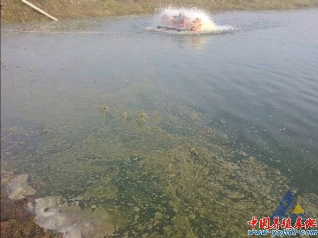 中國養殖基地 yzjidi.com