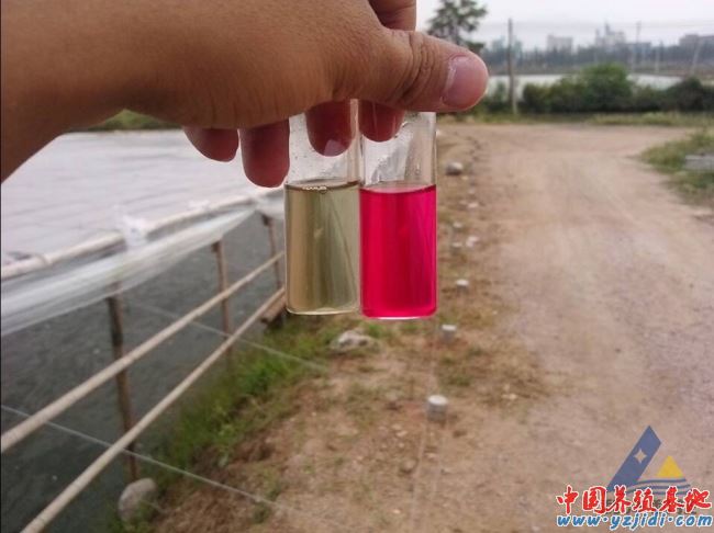 中國養殖基地 yzjidi.com