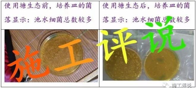 中國養殖基地 yzjidi.com
