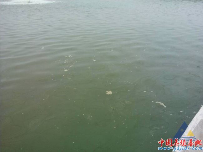 中國養殖基地 yzjidi.com