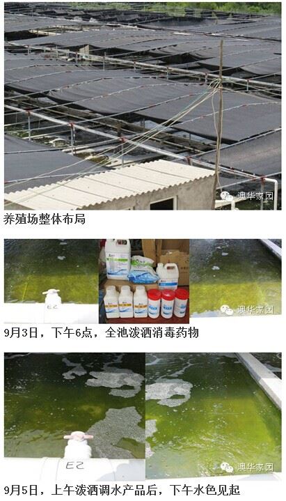 中國養殖基地 yzjidi.com