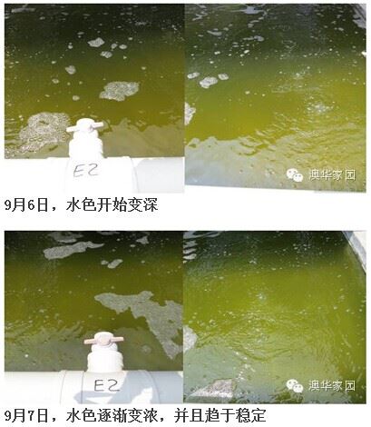 中國養殖基地 yzjidi.com