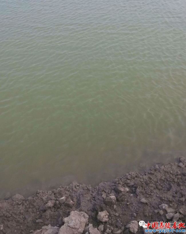 中國養殖基地 yzjidi.com
