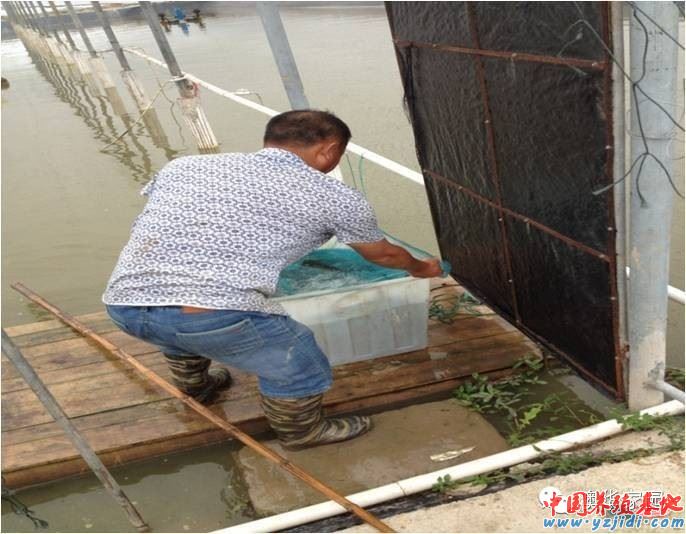 中國養殖基地 yzjidi.com
