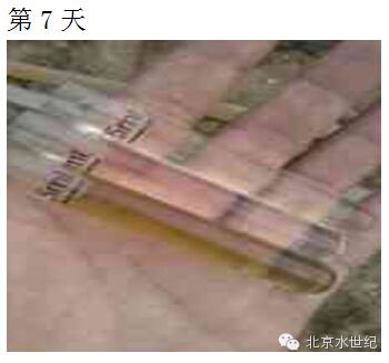 中國養殖基地 yzjidi.com
