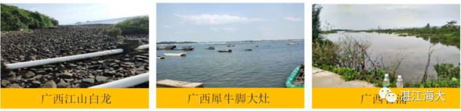 中國養殖基地 yzjidi.com