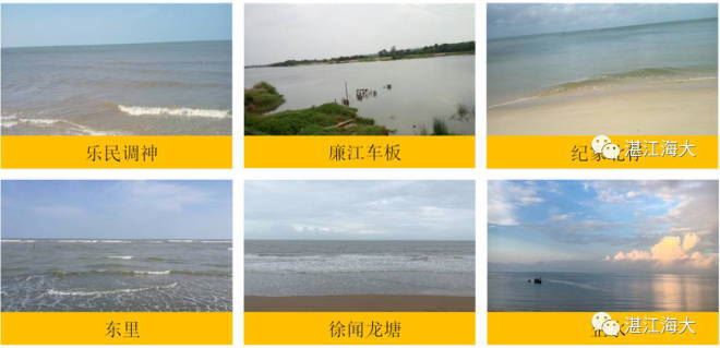 中國養殖基地 yzjidi.com