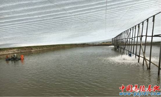 中國養殖基地 yzjidi.com