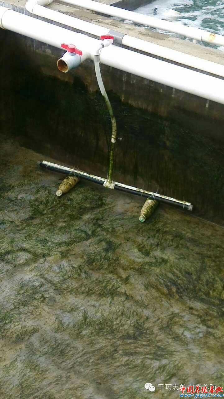 中國養殖基地 yzjidi.com