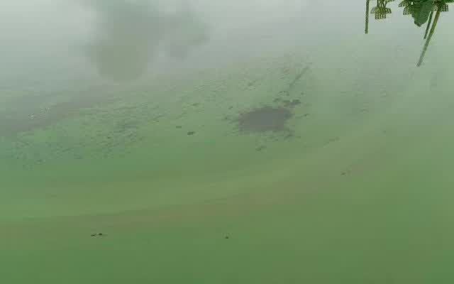 中國養殖基地 yzjidi.com