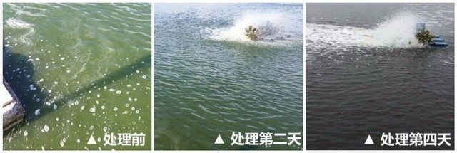 中國養殖基地 yzjidi.com