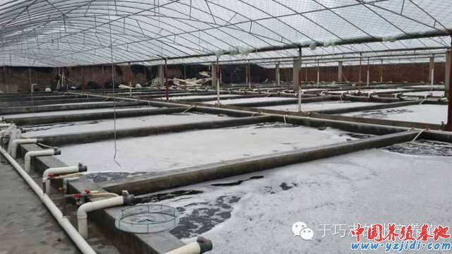 中國養殖基地 yzjidi.com