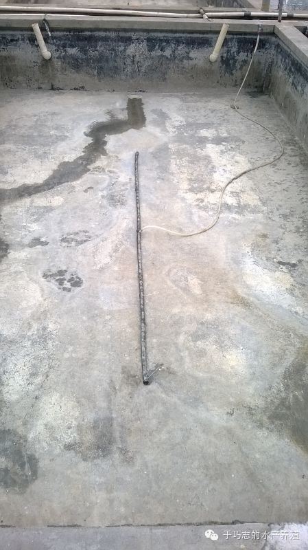 中國養殖基地 yzjidi.com